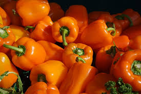 Capsicum (Orange)